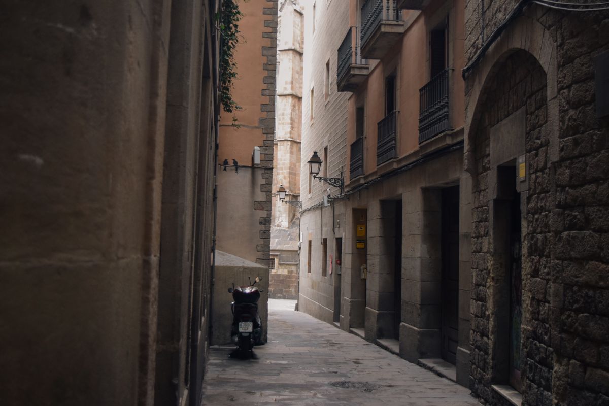 Eliminación de moho en Badalona