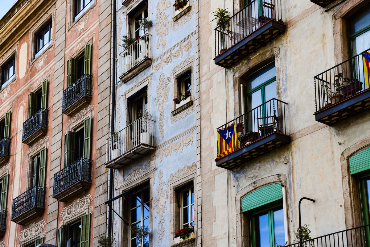 Eliminación de moho en Tortosa